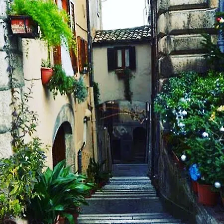 Hotel Elvira Fiuggi